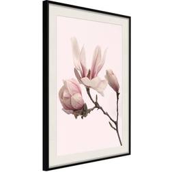 Arkiio Affisch Blooming Flowers [Poster] 40x60 Poster